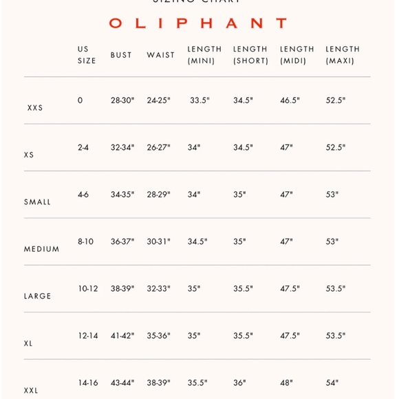 Oliphant Dress New Sleeveless Tiered Short Dress Flora Blue summer flare dress - Picture 9 of 9